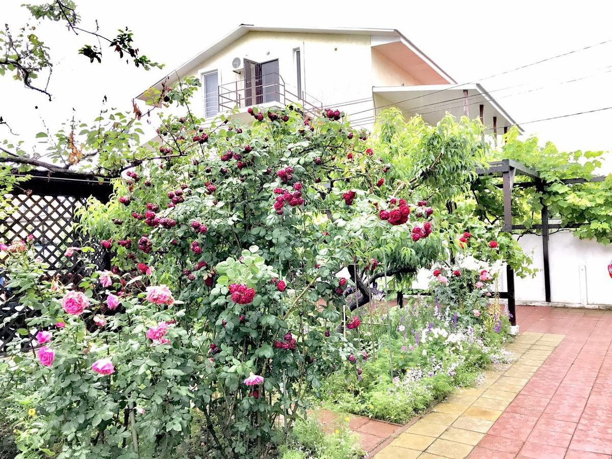 Akvitaniya Mini-Hotel Satoka Exterior foto